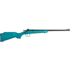 Crickett Blue Synthetic Stock Rifle .22LR Single Shot 16.125" Blued Barrel
