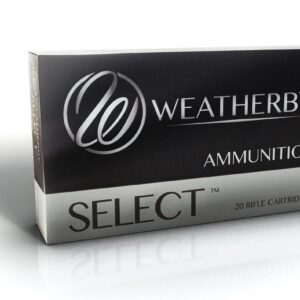 300 WBY MAG 165GR HORNADY INTERLOCK